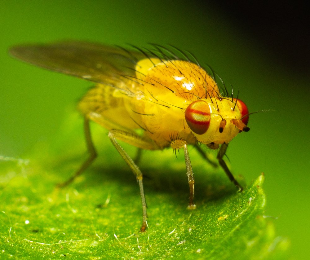 Photograph by Александр Шлюпиков