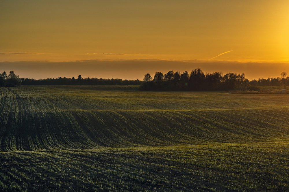 Photograph by Константин