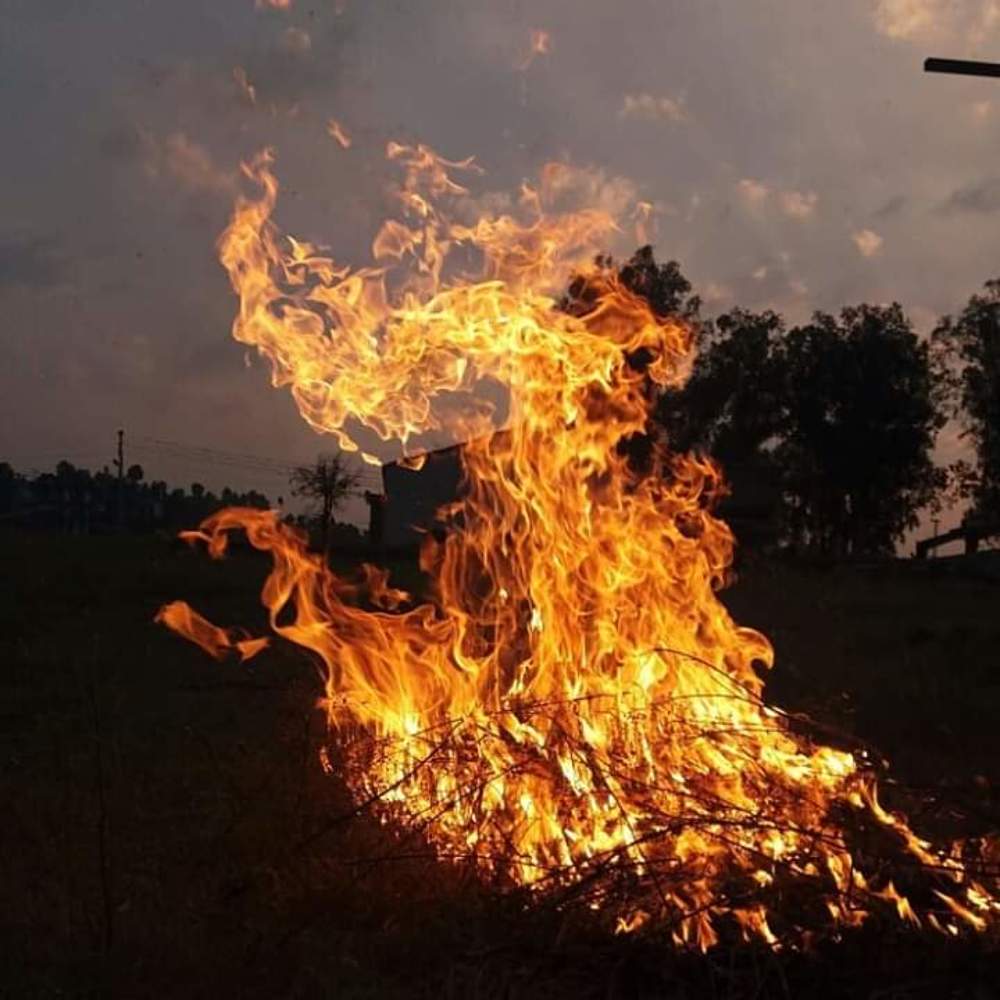 Photograph by Sadaf Saeed