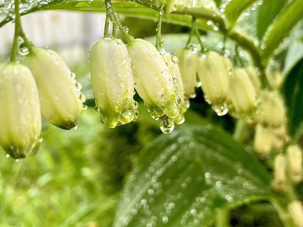 Photograph by Андрей Кротов