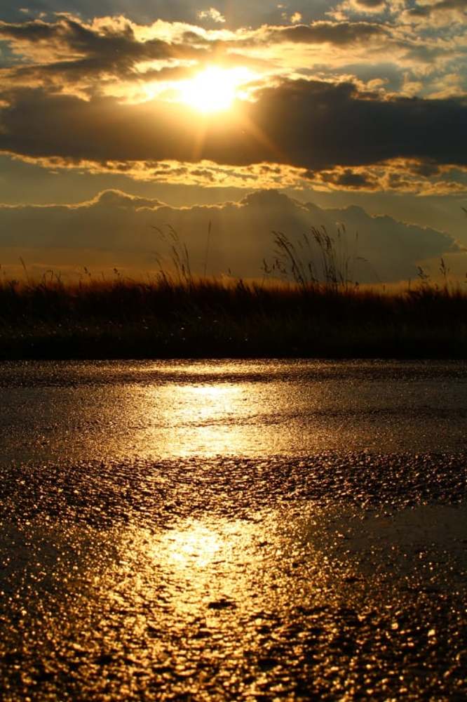 Photograph by Nikolett Zimmerer