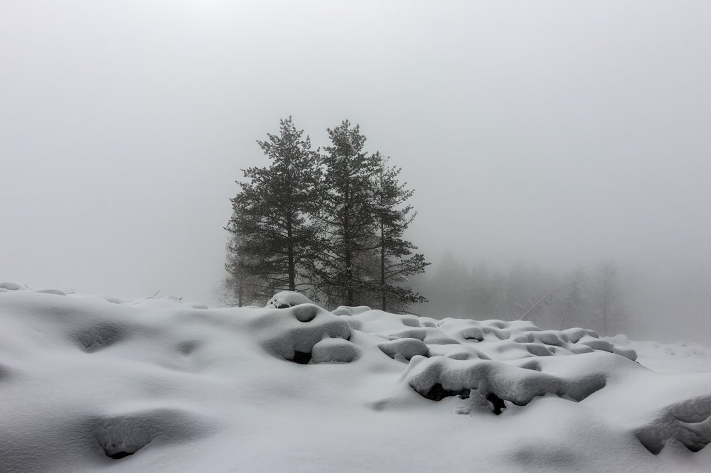 Photograph by  Эстелла