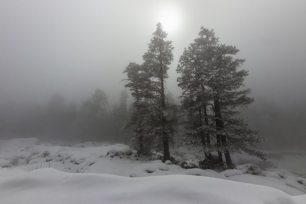 Photograph by  Эстелла