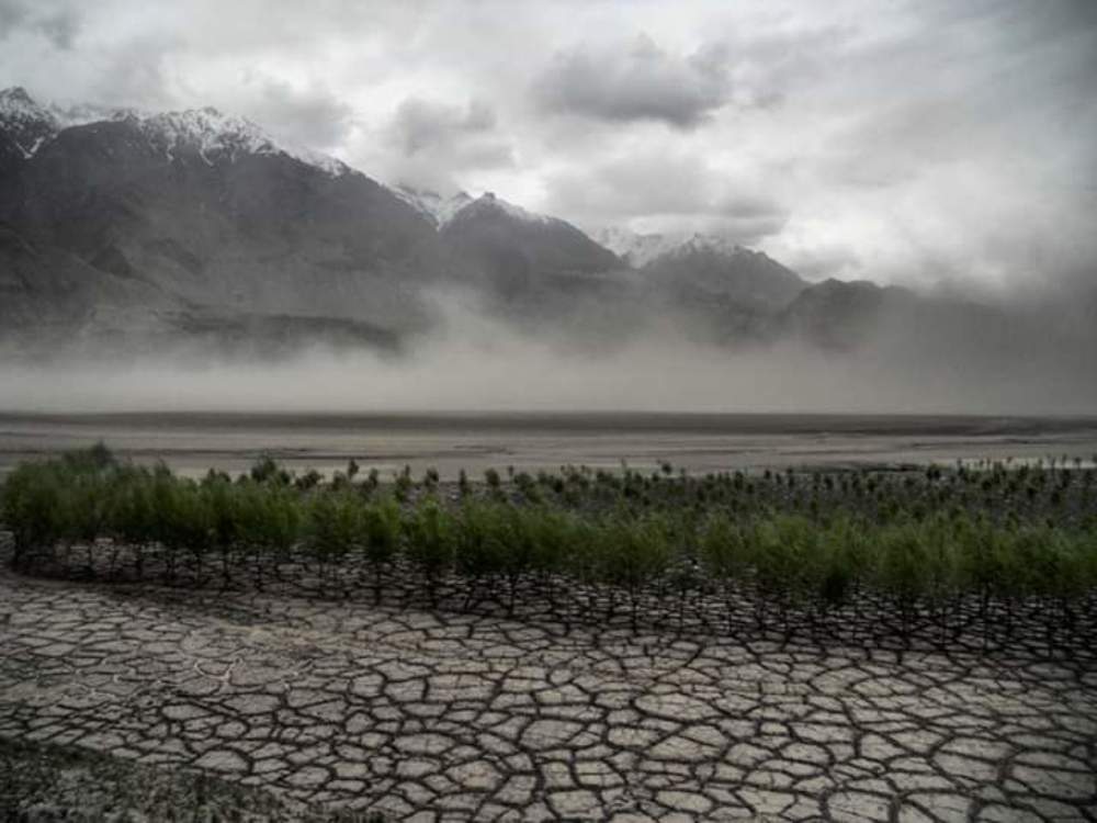 Photograph by Sadaf Saeed