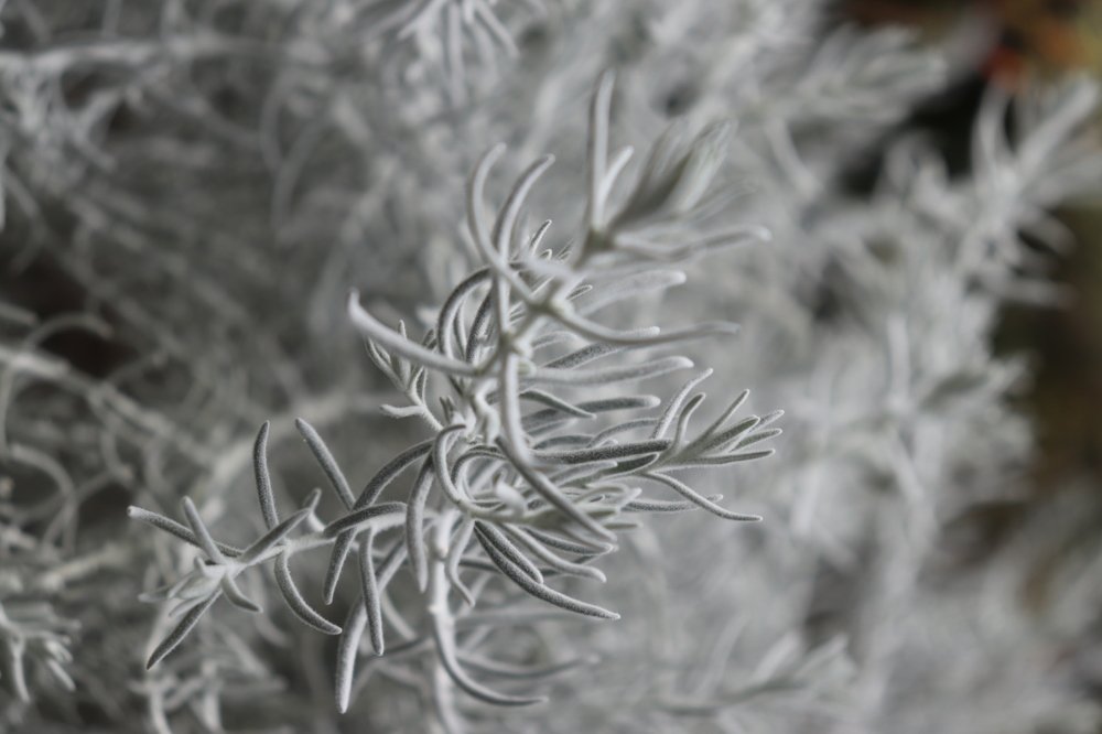 Фотография автора Sonali Mahakal