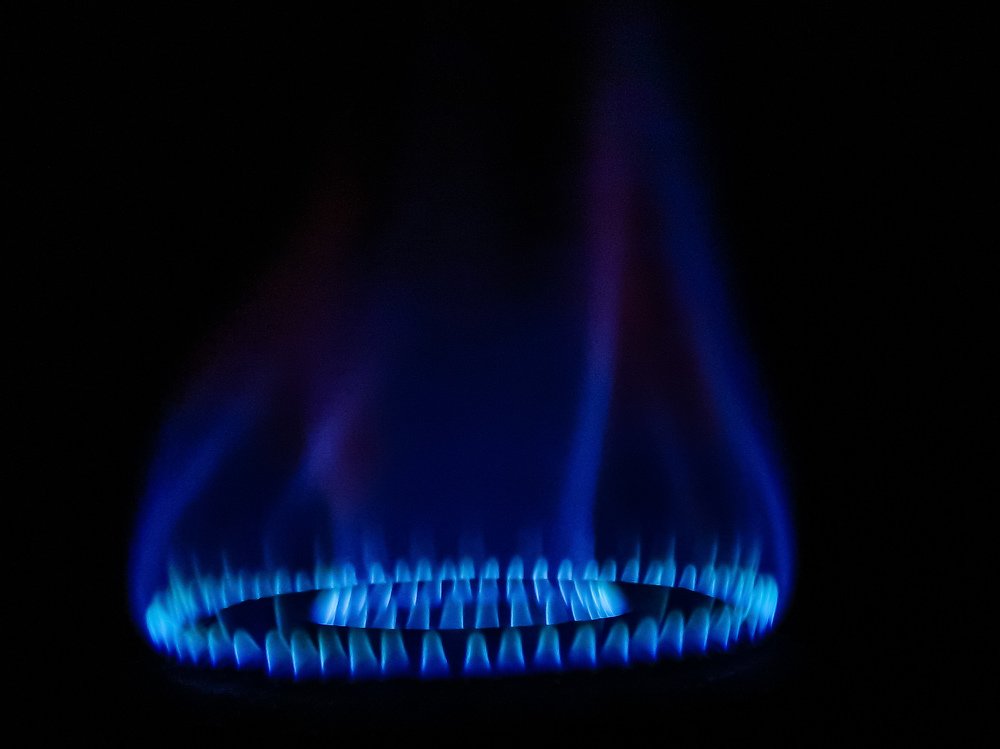 Photograph by PRABANJAN KARUPPUSAMY