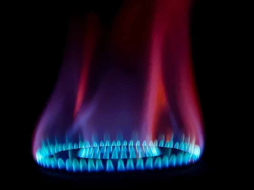 Photograph by PRABANJAN KARUPPUSAMY