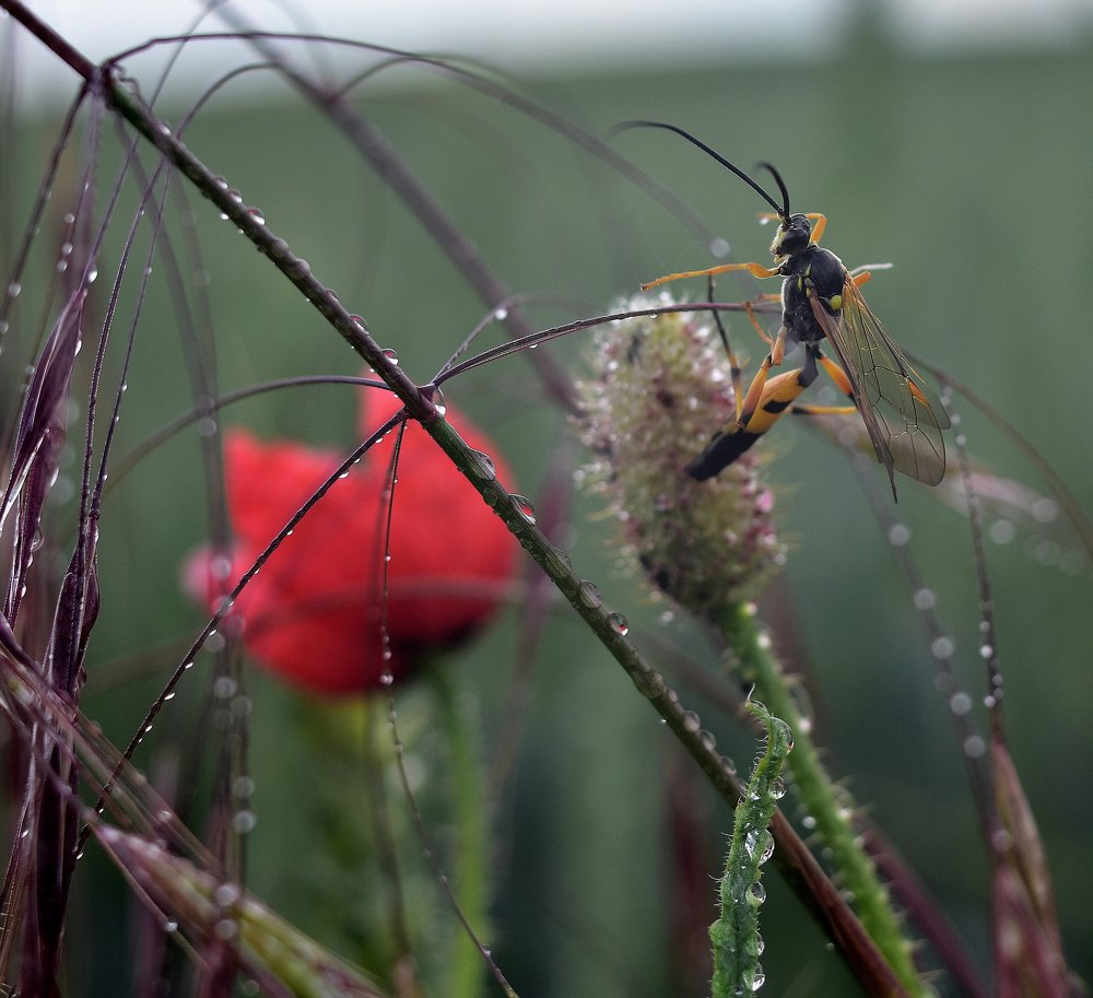 Photograph by Vitalii Kaznin