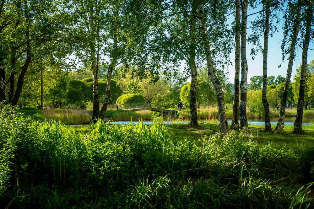 Photograph by Владимир Поздняков