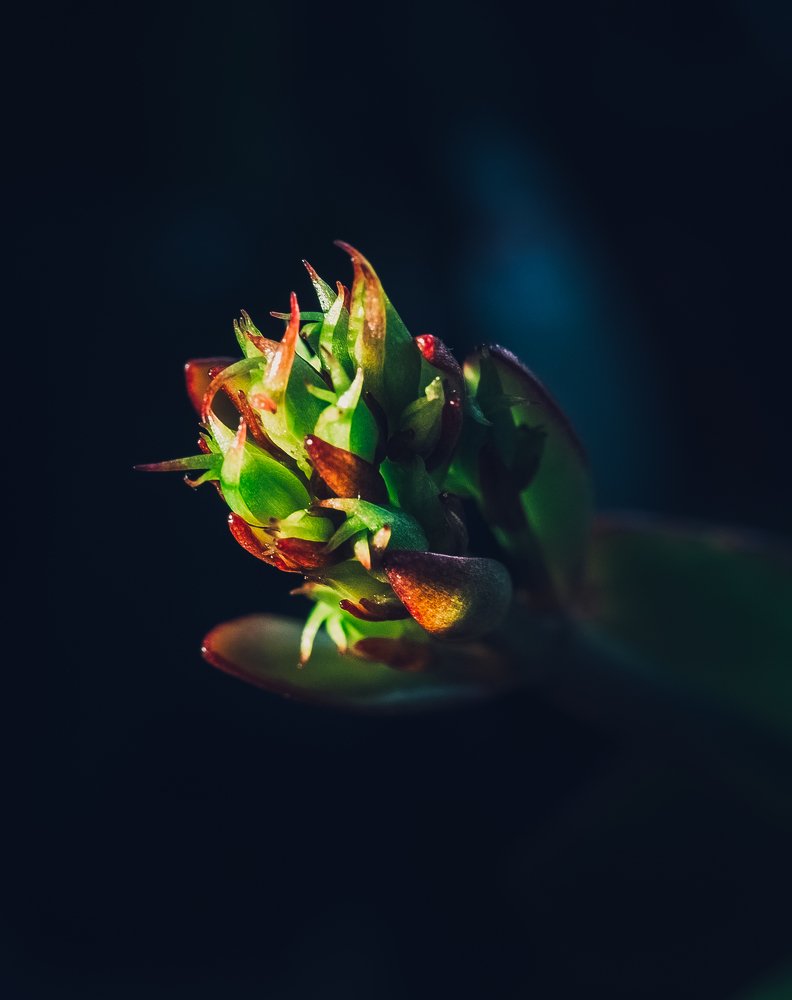 Photograph by Владимир Поздняков