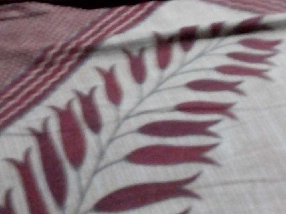 Photo #4659306