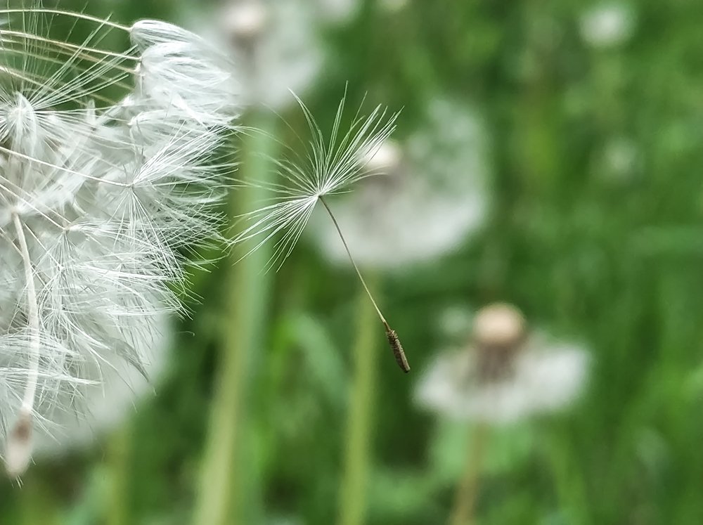 Photograph by Дмитрий Малышев