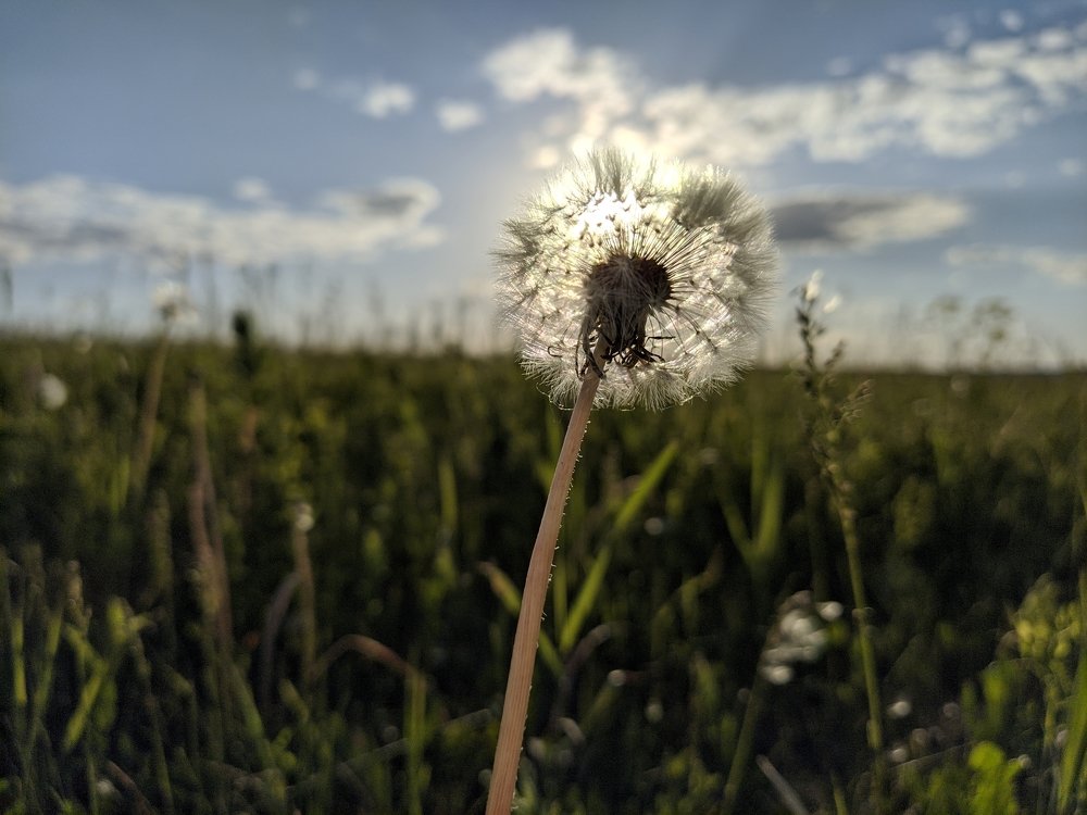 Photograph by Наиль Шакиров