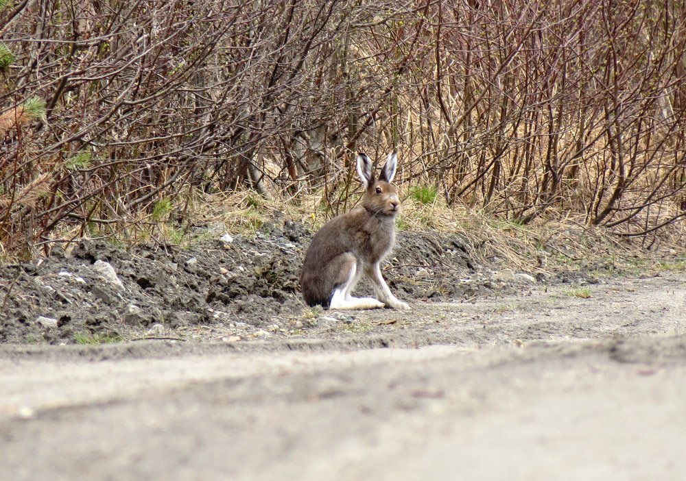 Photograph by Илья Сандлер