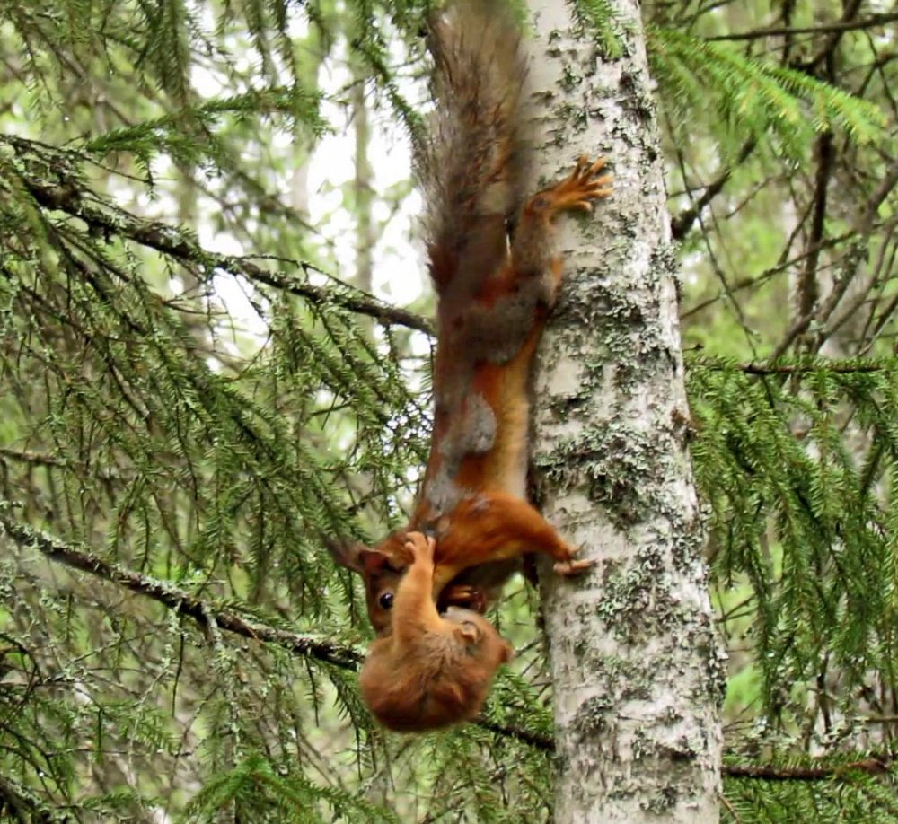 Photograph by Илья Сандлер