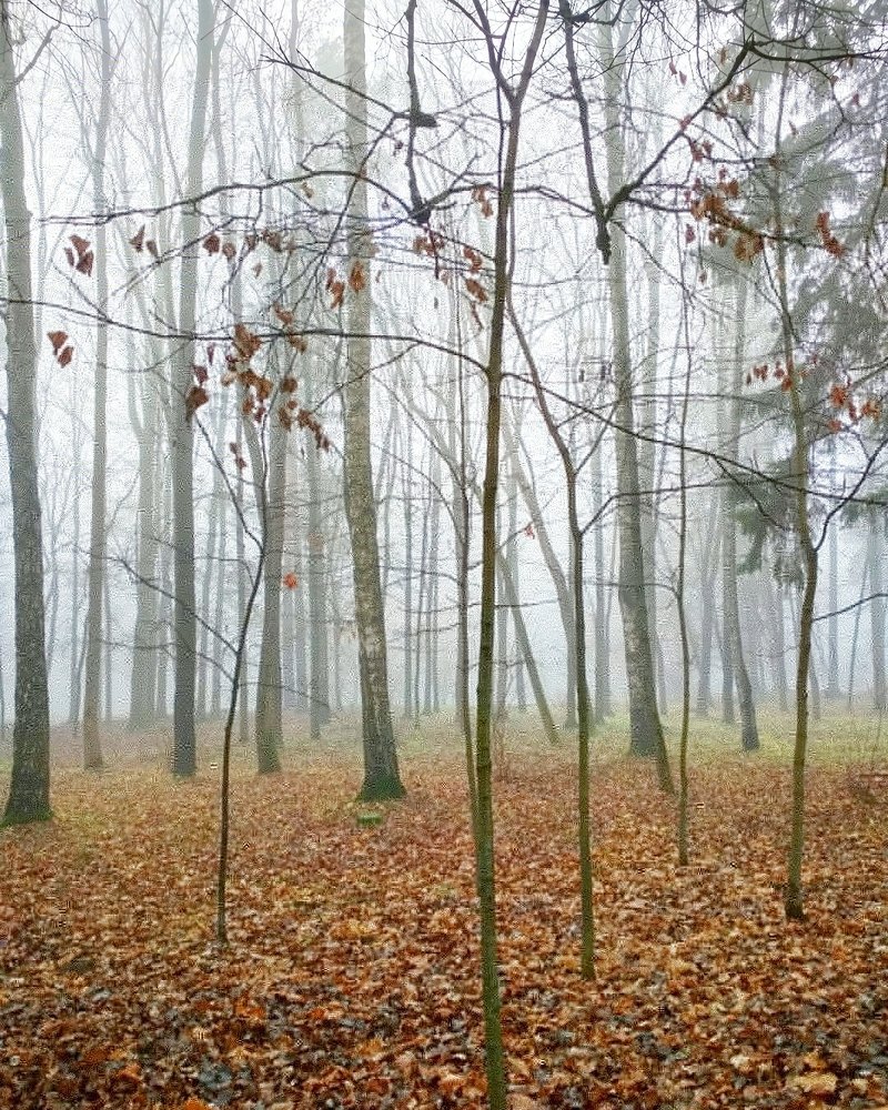 Photograph by Николай Аксенов