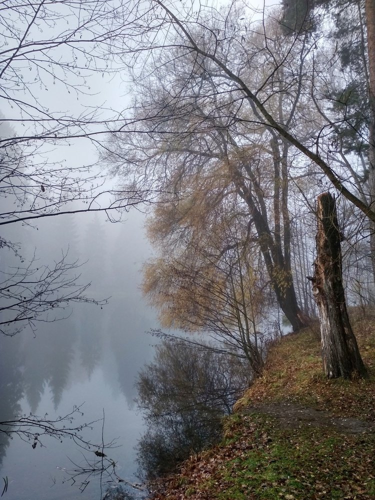 Photograph by Николай Аксенов