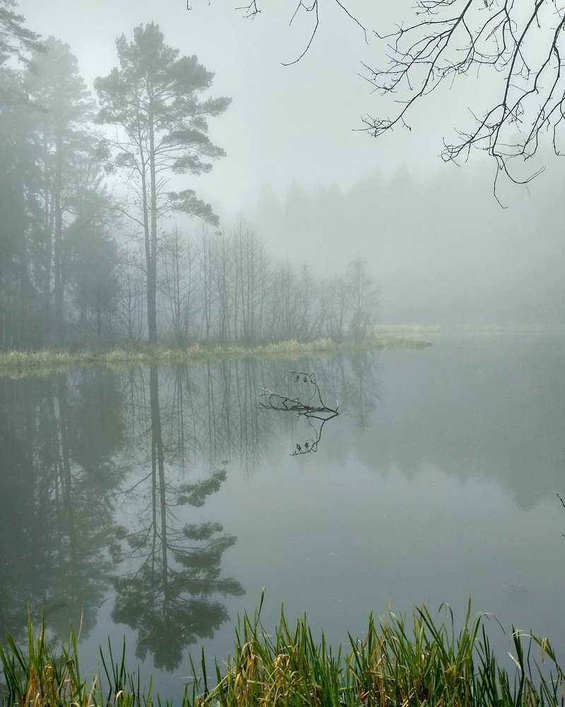 Photograph by Николай Аксенов