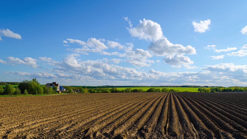 Урожаю быть!