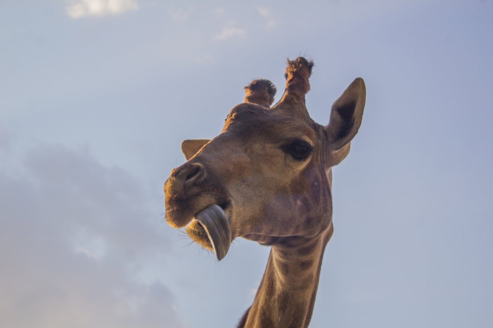 Photograph by Любовь Головина