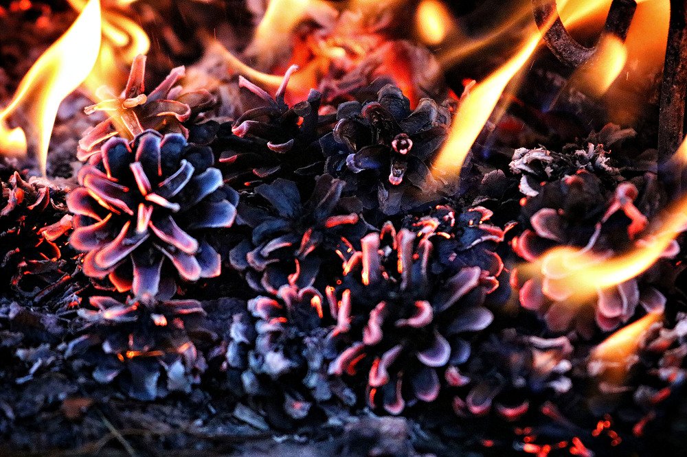 Фотография автора Анастасия Пищулова