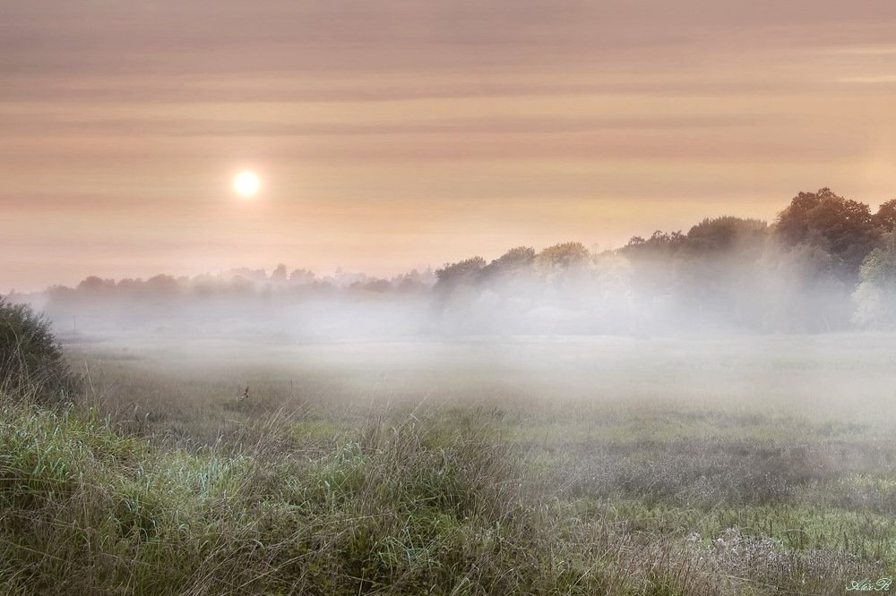 Фотография автора Razgulyaev Aleksandr