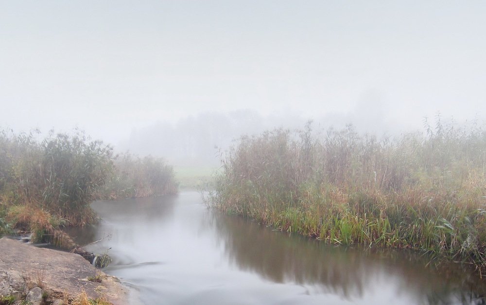 Фотография автора Razgulyaev Aleksandr