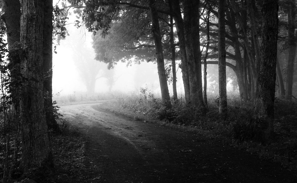 Фотография автора Razgulyaev Aleksandr