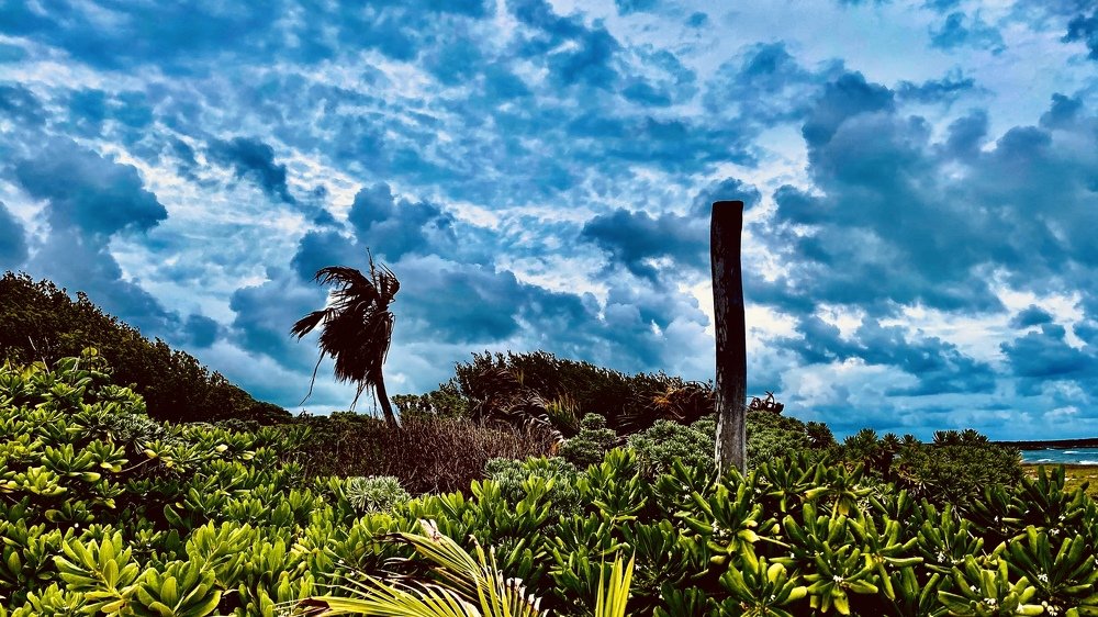 Photograph by Inti Llamas