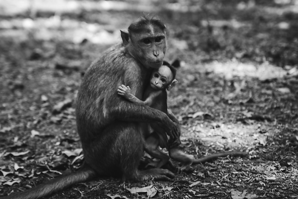 Photograph by Екатерина Шторм