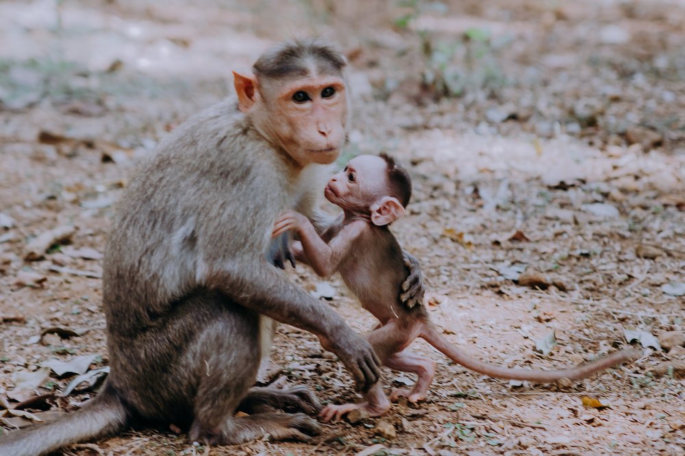 Photograph by Екатерина Шторм