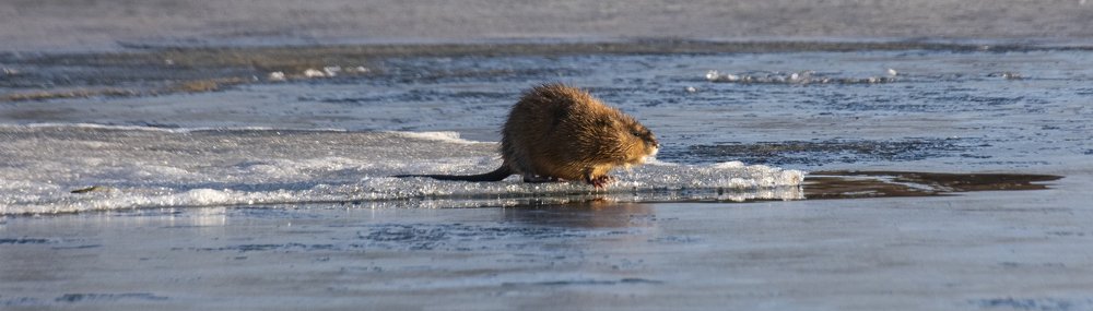 Photograph by Амир Гильмутдинов
