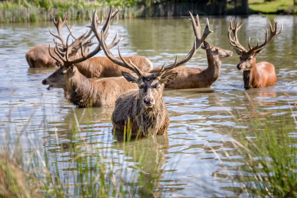 Photograph by Tomas Donauskas