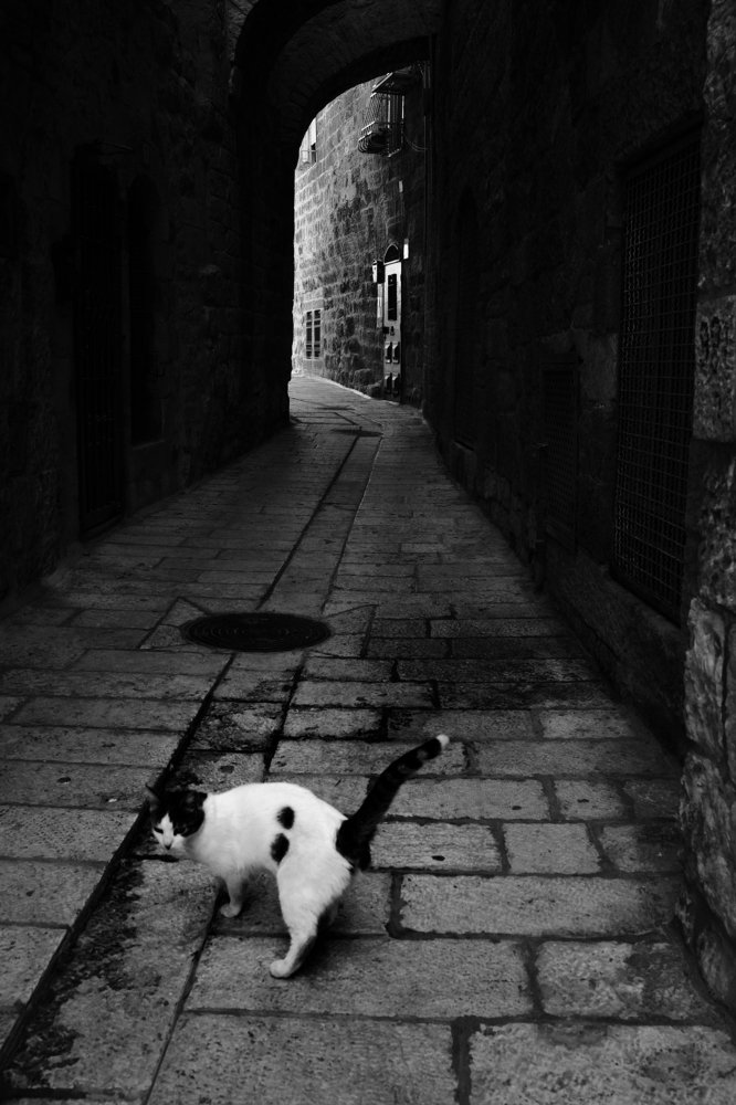 Photograph by Yevgeniy Babichenko