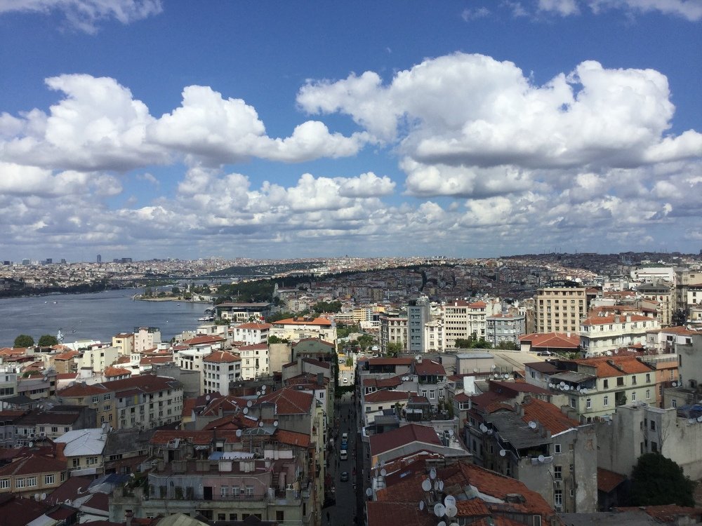 Photo #4660154