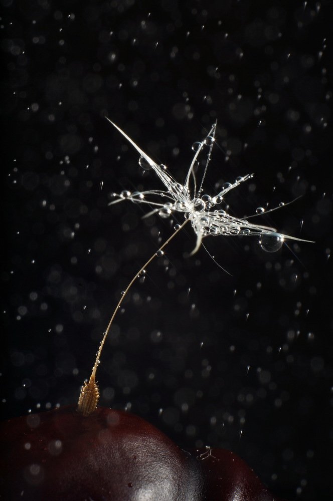 Photograph by Сергей