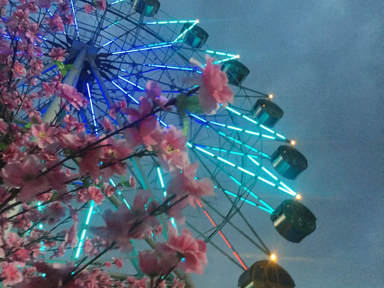Photo #4660169