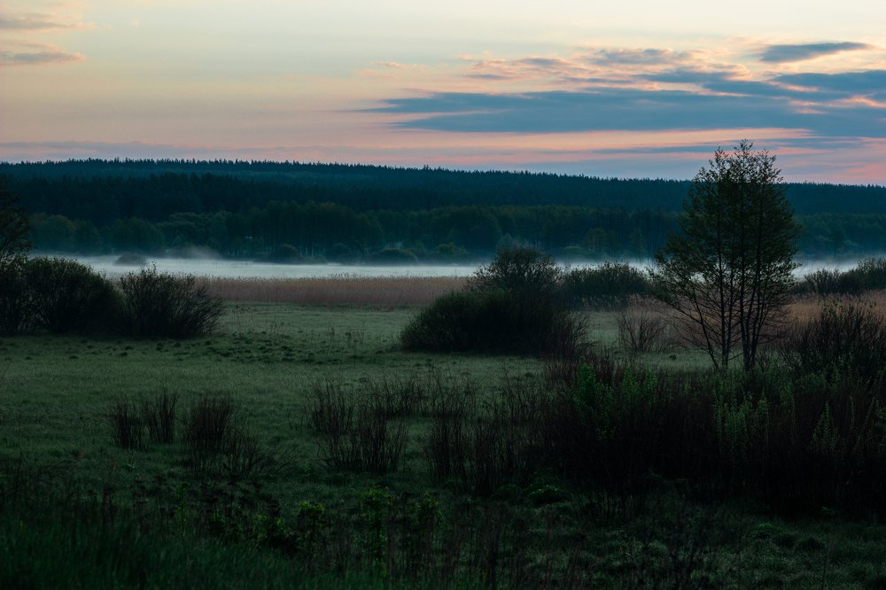 Photograph by Dmitry Semenov