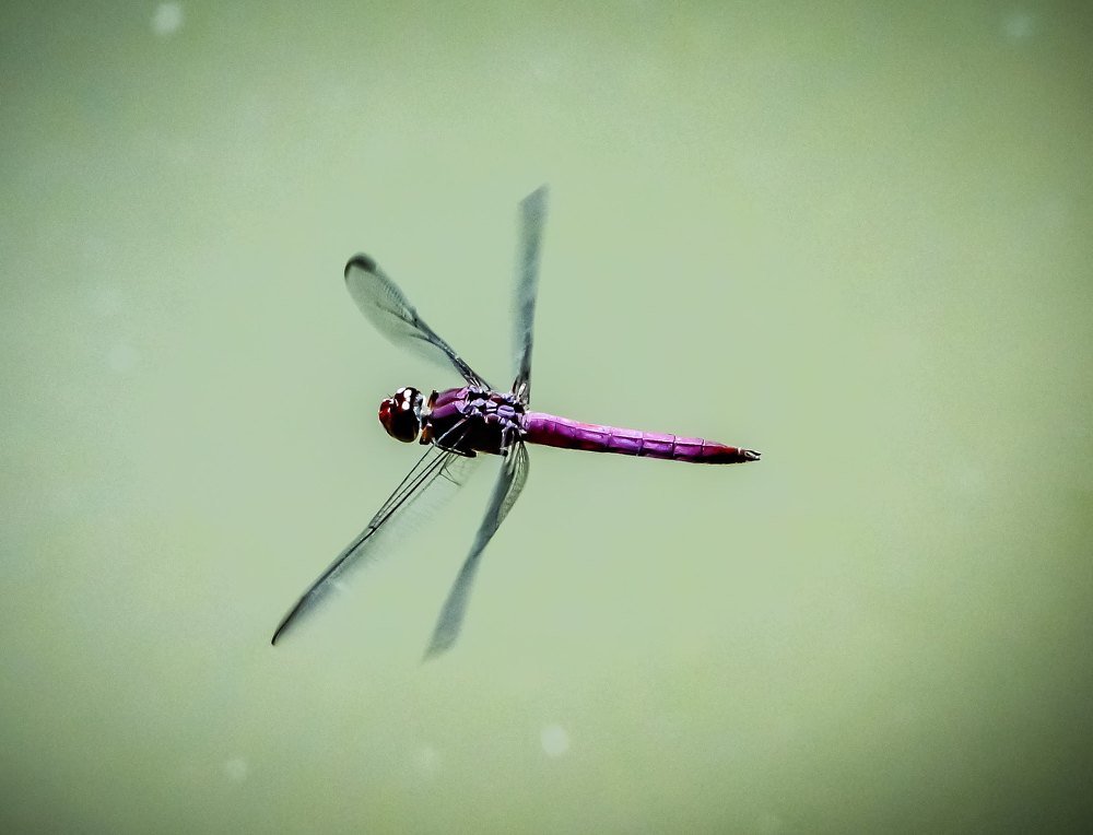 Photograph by FABIO PEREIRA