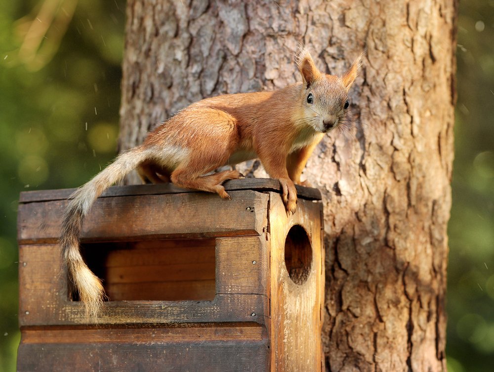Жилищный вопрос