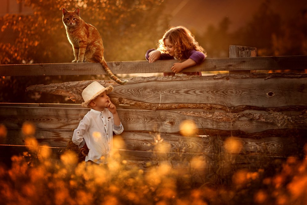 Деревенские мотивы