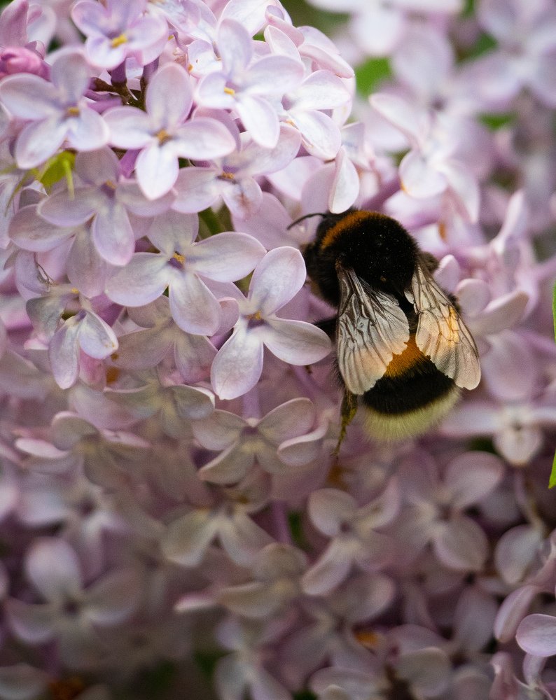 Photograph by Евгений Михеев