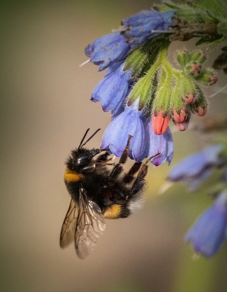 Photograph by Евгений Михеев