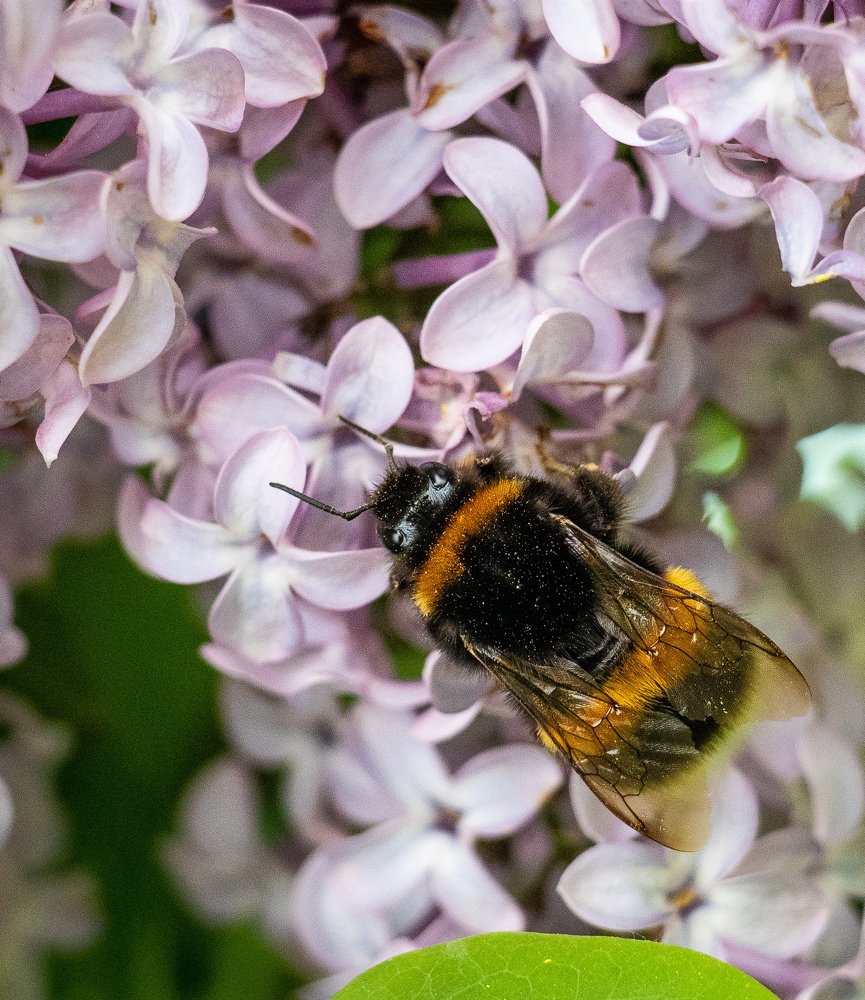 Photograph by Евгений Михеев