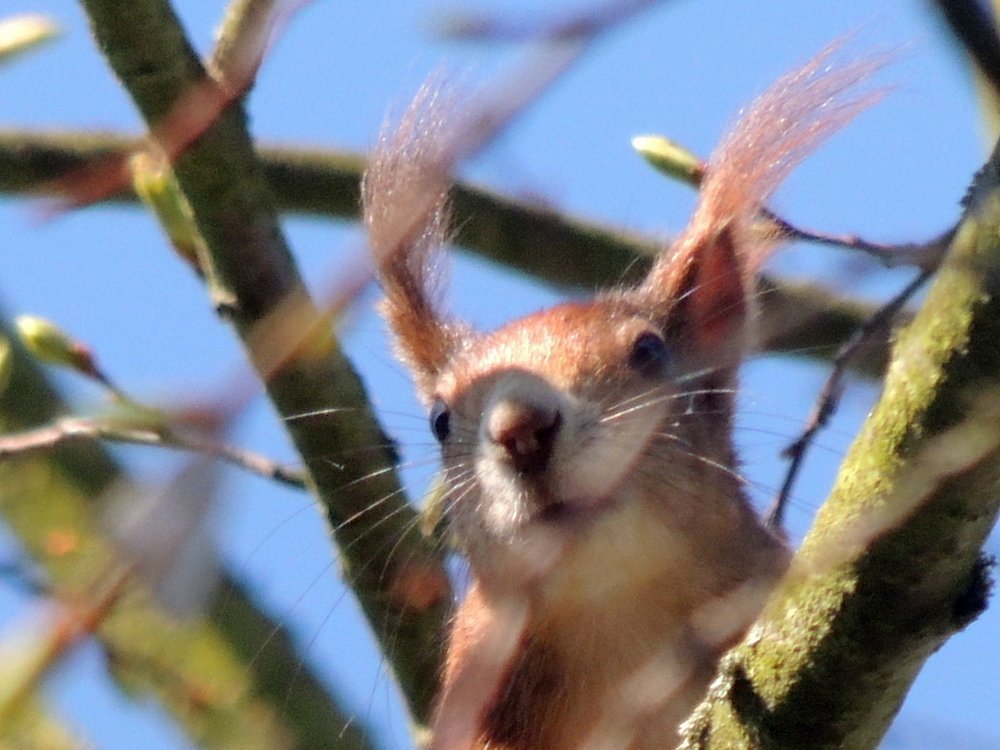 Photograph by Юрий Тихонов