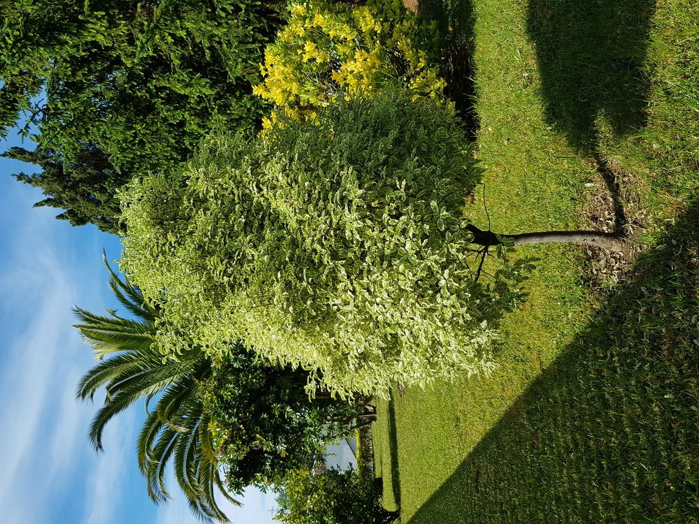 Фотография автора Jorge Correia