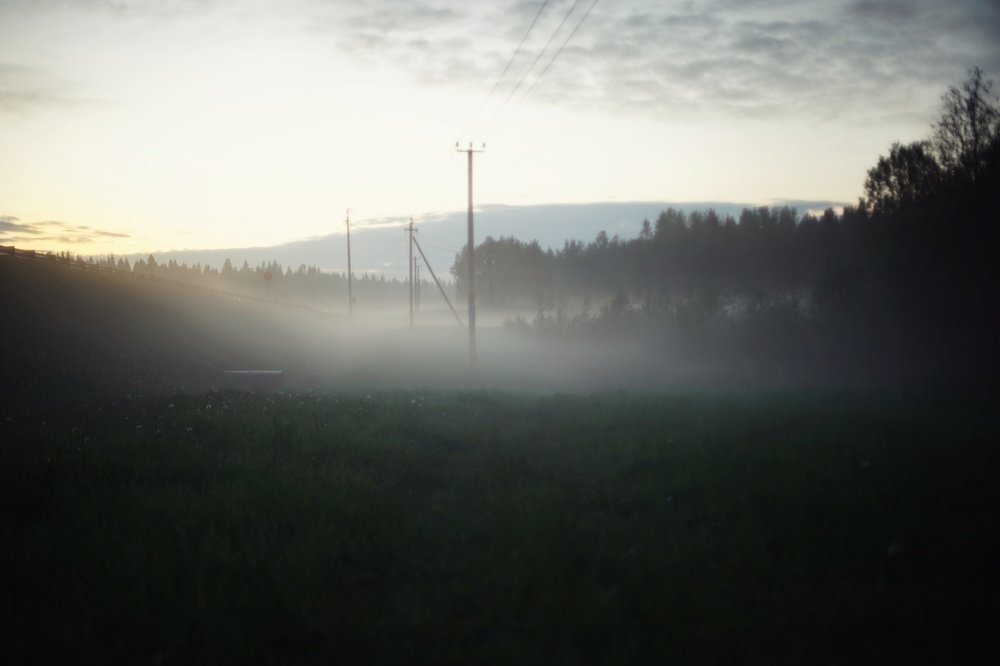 Photograph by Алина