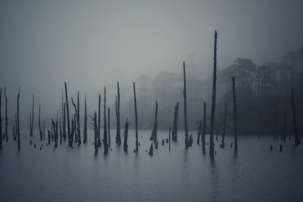 Фотография автора AD Ajay