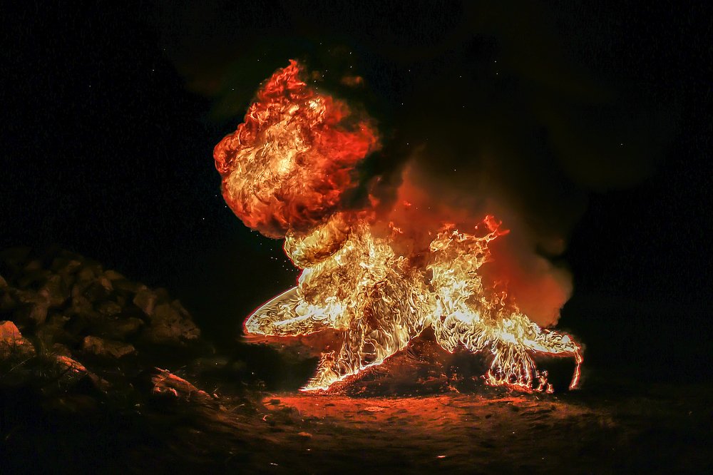 Фотография автора Victor Sacaliuc