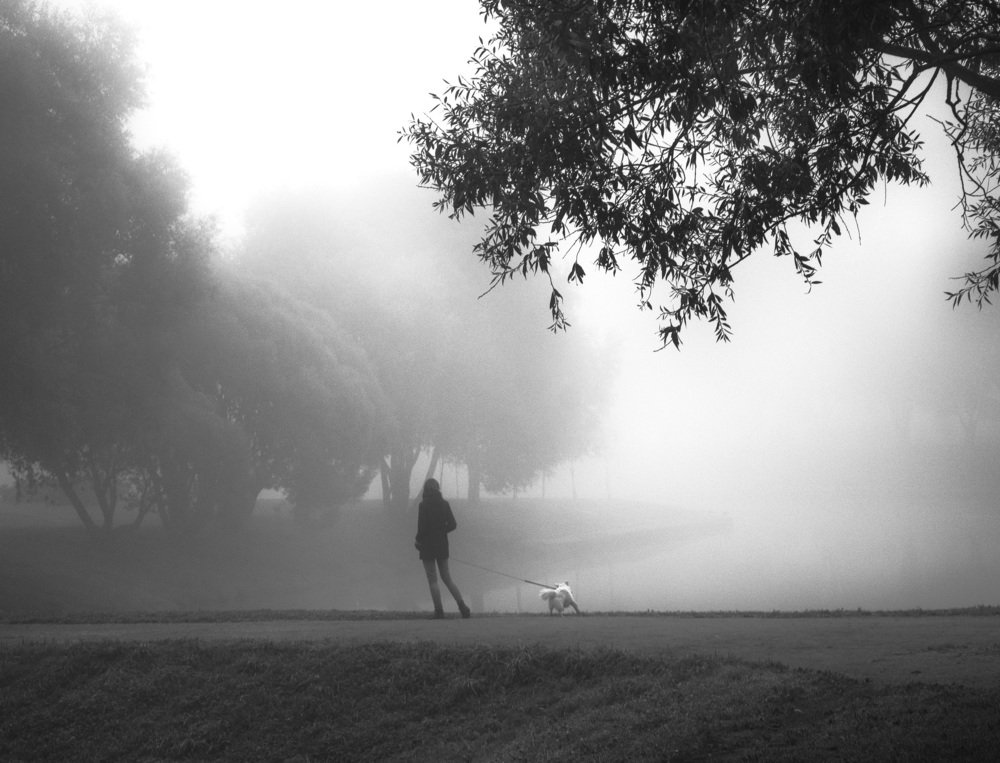 Дама с собачкой